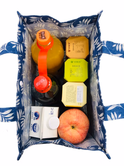 Promotional Gift Outdoor Picnic Bag Double Handle Cooler Bag