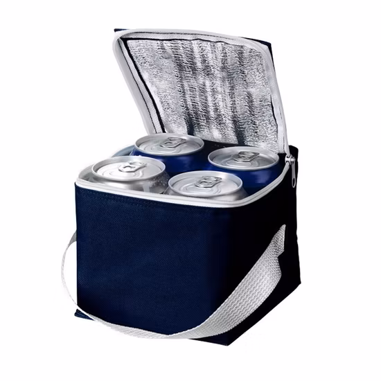 Leak Proof Thermal Insulated Lunch Cooler Bag for Picnic